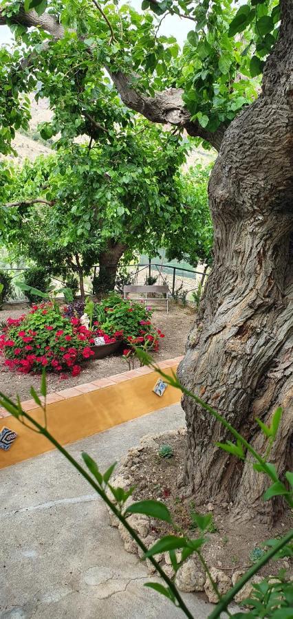 Casa Vacanze Fondaco Di Scillato Scillato  Zewnętrze zdjęcie